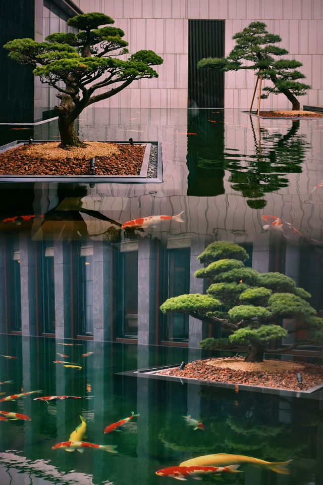 酒店測評~蘇州柏悅酒店