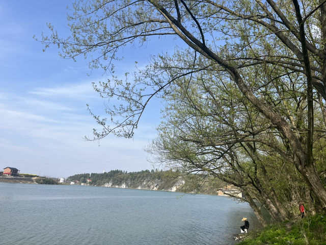 🌳邵陽吸氧寶地！寶慶森林公園