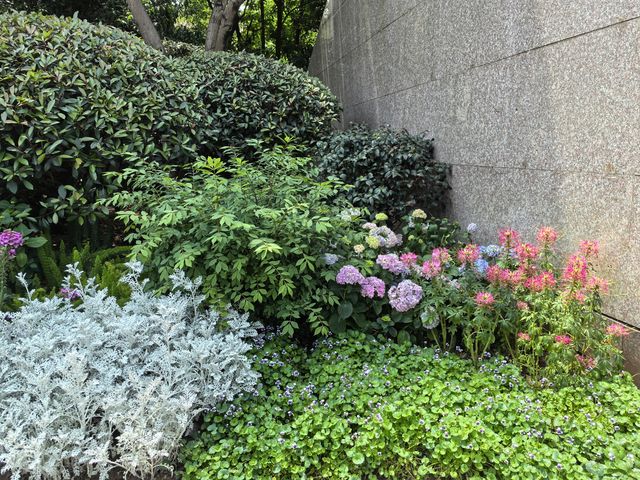 2025上海國際花展：市慈善基金會綠地