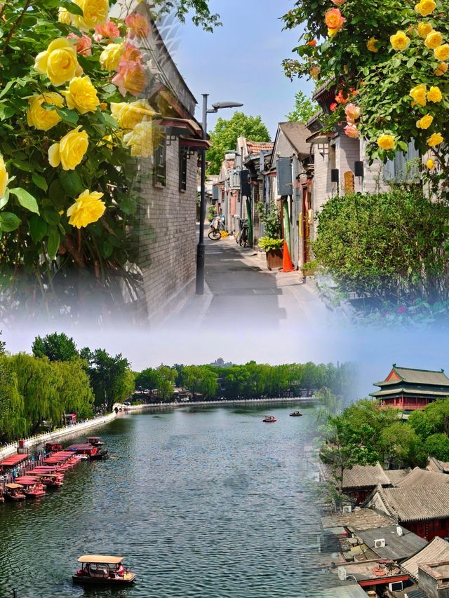 初夏胡同賞花Citywalk：從壽比胡同到後海的浪漫邂逅