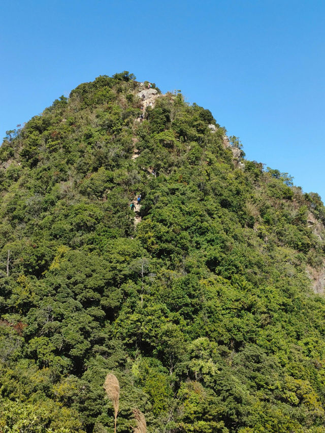深港邊境探秘蓮塘口岸旁的紅花嶺郊野公園