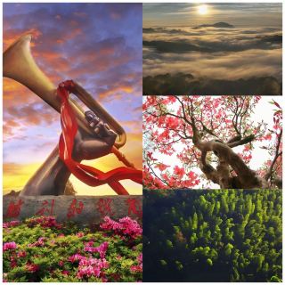 【Jinggang Spring Rhyme: An Immersive Journey of Red and Green】