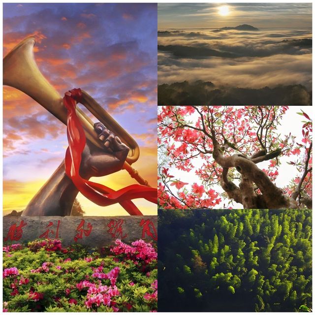 【井岡春韻：紅與綠交織的沉浸式旅行】