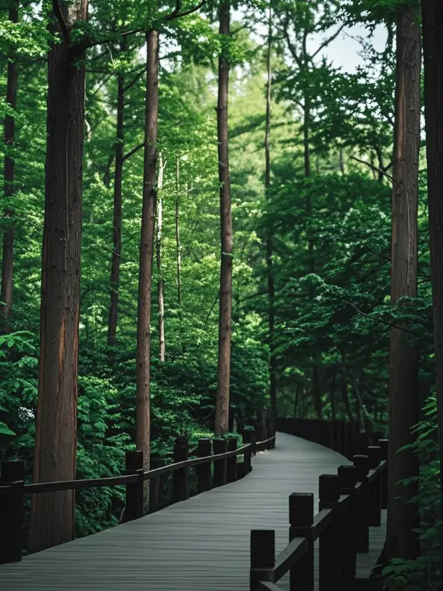 北京植物園令小朋友玩到唔捨得走！喊住話要再嚟99次！