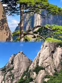 黃山雲海現場實錄