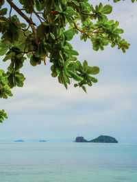 Rare Route Alert: Cruise from Singapore to Koh Samui & Redang! 