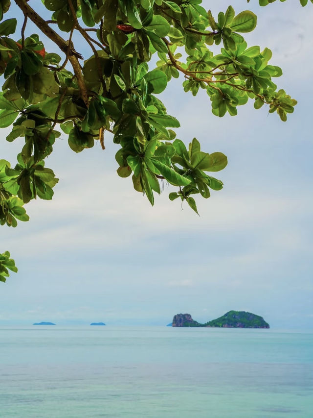 Rare Route Alert: Cruise from Singapore to Koh Samui & Redang! 