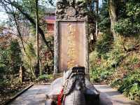 青城山旅行攻略|道教聖地與自然奇觀的完美交融