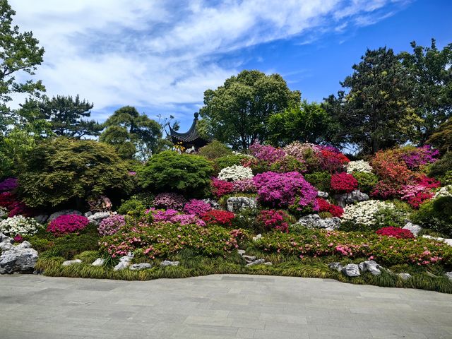 美美與共之【華裳與林泉】