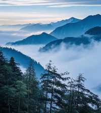 峨眉山令我從此對行山有陰影啦