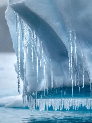 Glacier Adventures: More Than Just Admiring the Ice