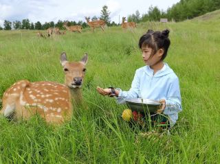 6 Days 5 Nights Hulunbuir Family Tour - The Ultimate Itinerary