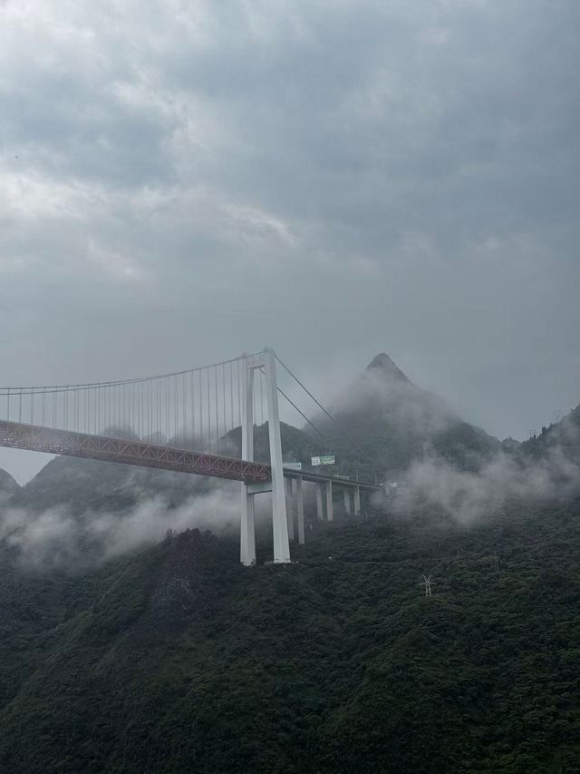 日啖枇杷三百顆，不辭長居黃果樹