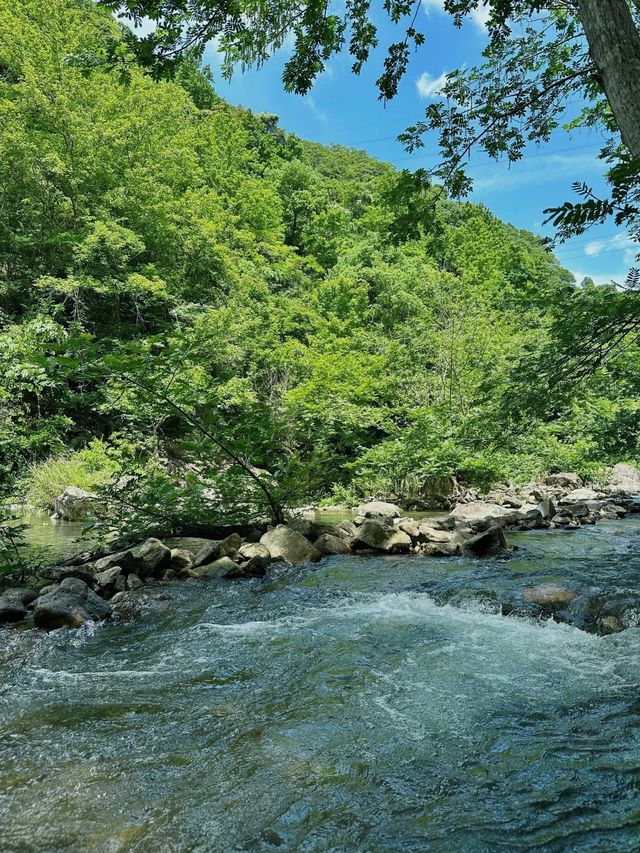 邂逅樂清 | 解鎖小眾寶藏旅行地