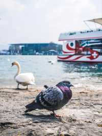 琉森城市CityWalk｜湖光山色裡的中世紀慢生活