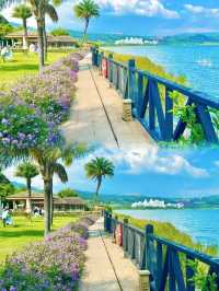 春城慢活，邂逅浪漫花海與滇池日落