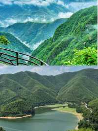 竹海雲間，浙裡撒歡安吉～盛夏好去處