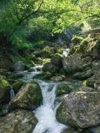 青城山2日1夜全攻略｜現實版綠野仙蹤