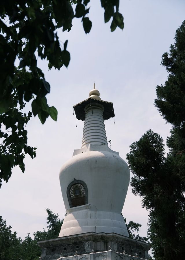 好多明星拍嘅電視劇據講都喺呢度取景