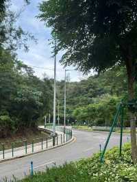 香港出發到澳門路環小众Citywalk跨境交通攻略 