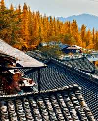 為了呢9張相我專登去咗一趟都江堰！（附攻略