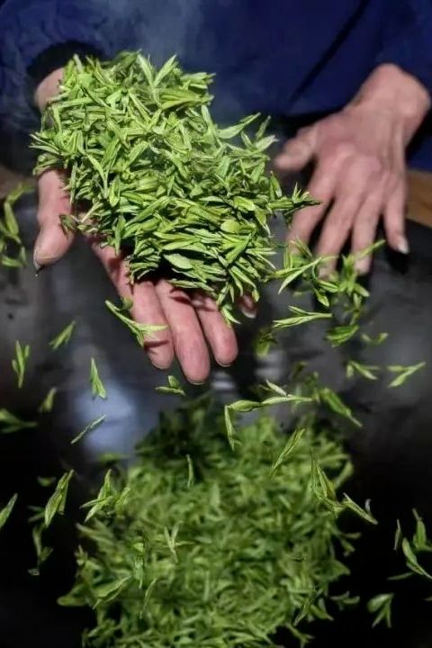 人間春日應問茶，走！去歙縣飲茶去→