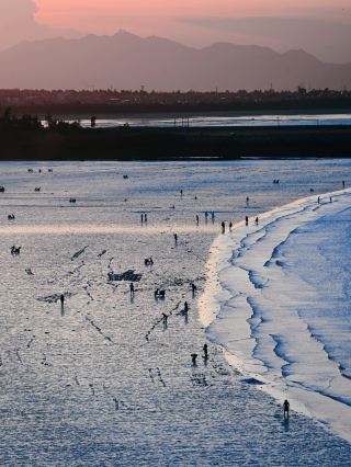 This Free Golden Beach in Quanzhou is Perfect for Seaside Fun with Few Crowds and Fine Sand! Windmills Add the Magic!