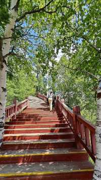 畢業衝！22℃阿爾山，4日躺贏童話森林！