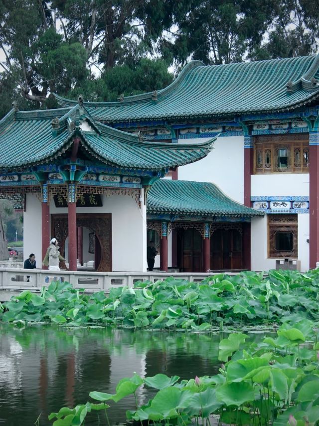 陰天都可以玩轉春城