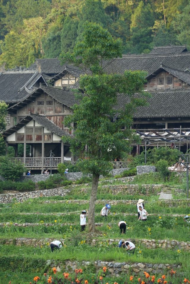 聽我講烏江寨會獎勵每個做攻略嘅人
