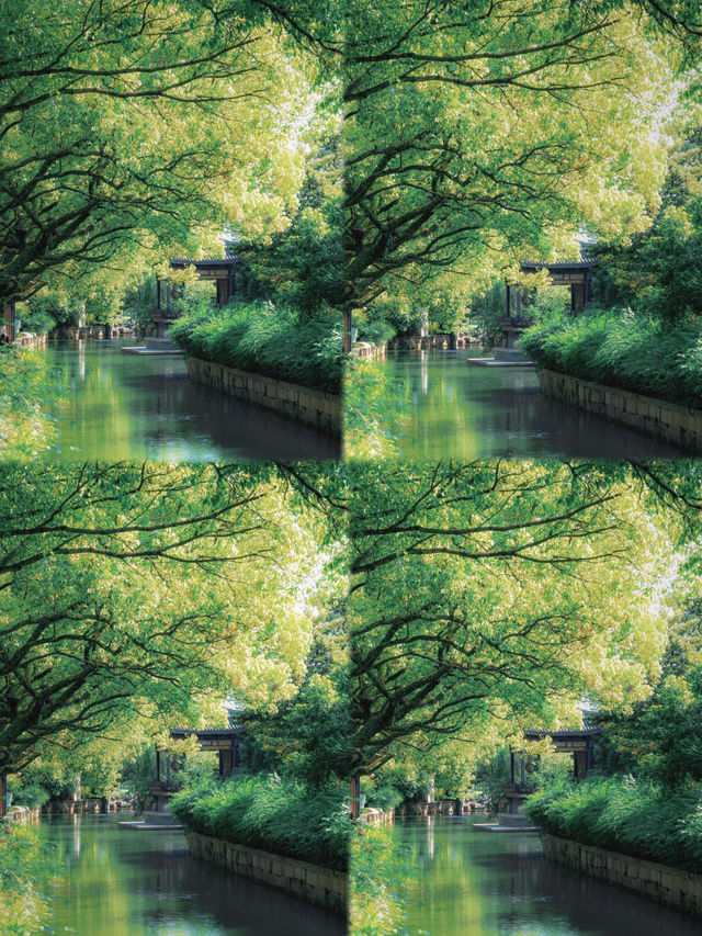 寧波火車站旁嘅隱藏王者月湖公園5A級美貌暴擊