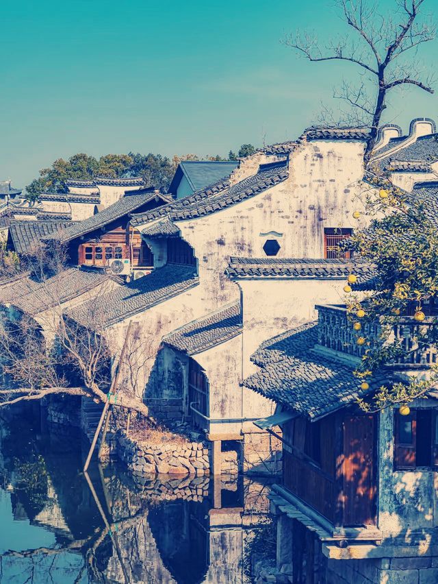 鹽官潮樂之城｜千年潮韻與現代藝術的奇幻交響】**   