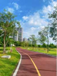 南寧夏日限定｜誤入莫奈花園