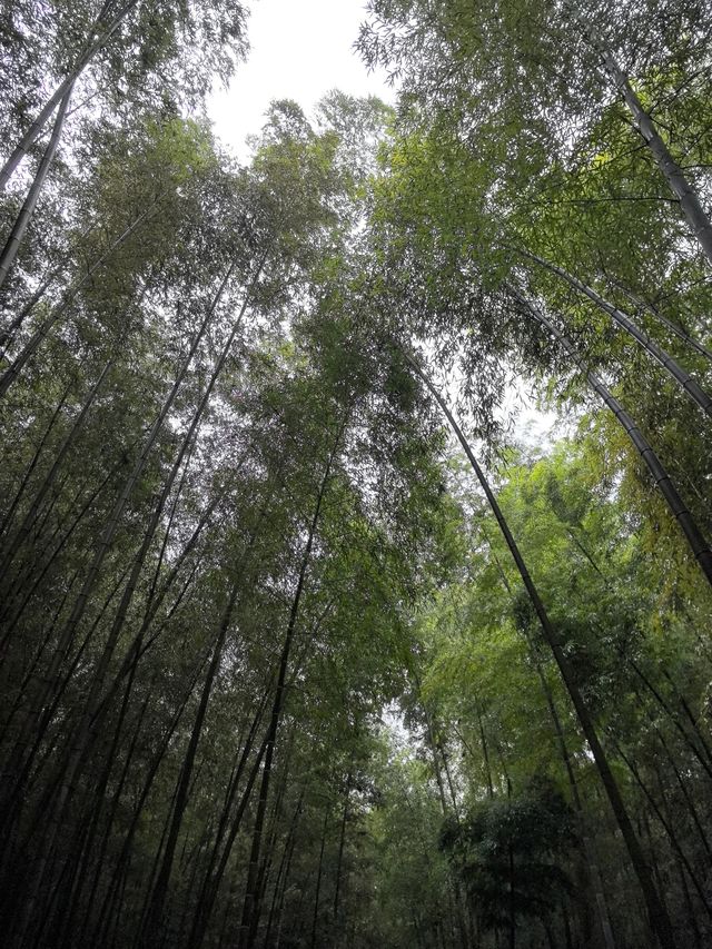 發現江蘇人對浙江山水嘅執念真係好深  星期六朝早8點從南通一路揸車到桐廬（桐廬係杭州嘅一個縣城）； 桐廬