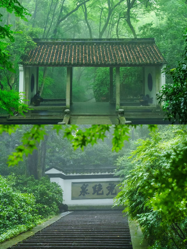 虎跑嘅水真係好正
