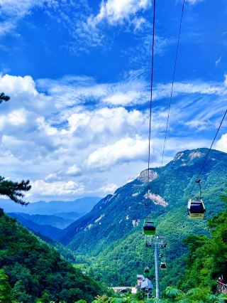 The wind is here, the clouds are here, paradise is here—the secret realm of East China's last primeval forest calls you