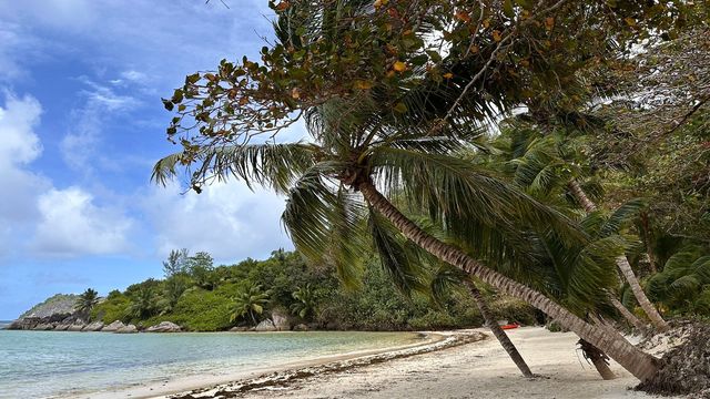 Exceptional Resort Experience