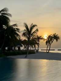 Comfortable Villas and Delicious Dining Experience