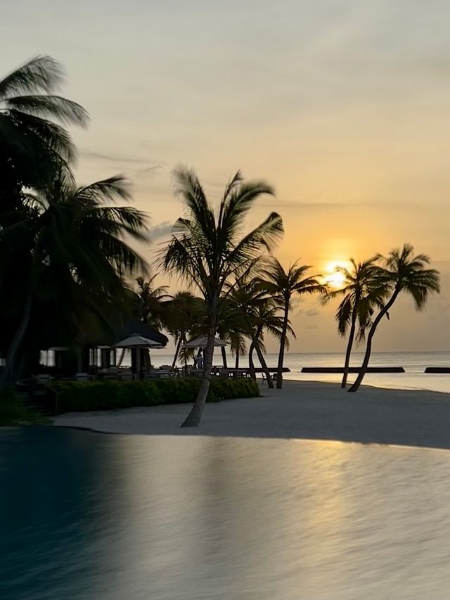 Comfortable Villas and Delicious Dining Experience