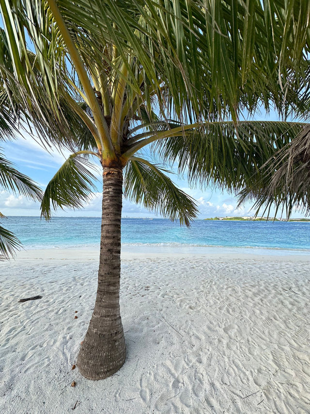 Unforgettable Paradise Getaway at Adaaran Prestige Vadoo
