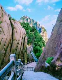 黃山懶人攻略｜後山上前山下！新手友好路線 看遍精華還不累