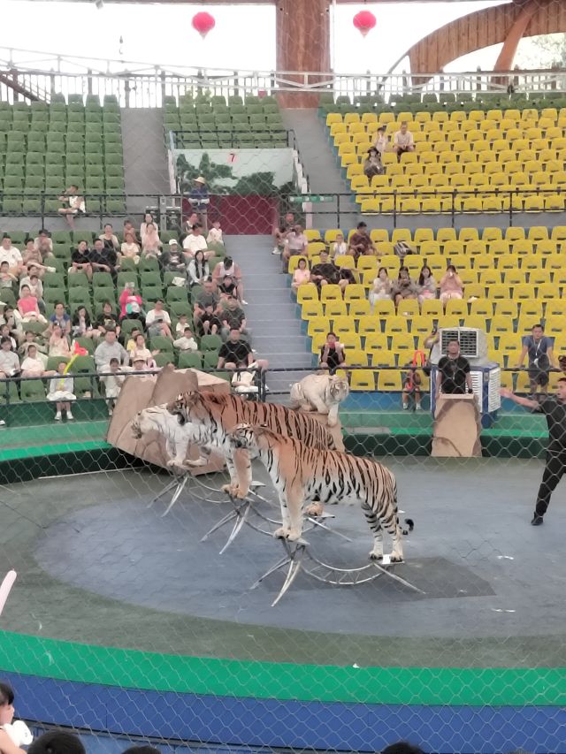 湖州龍之夢動物園全攻略｜親子/情侶/長者遊玩指南