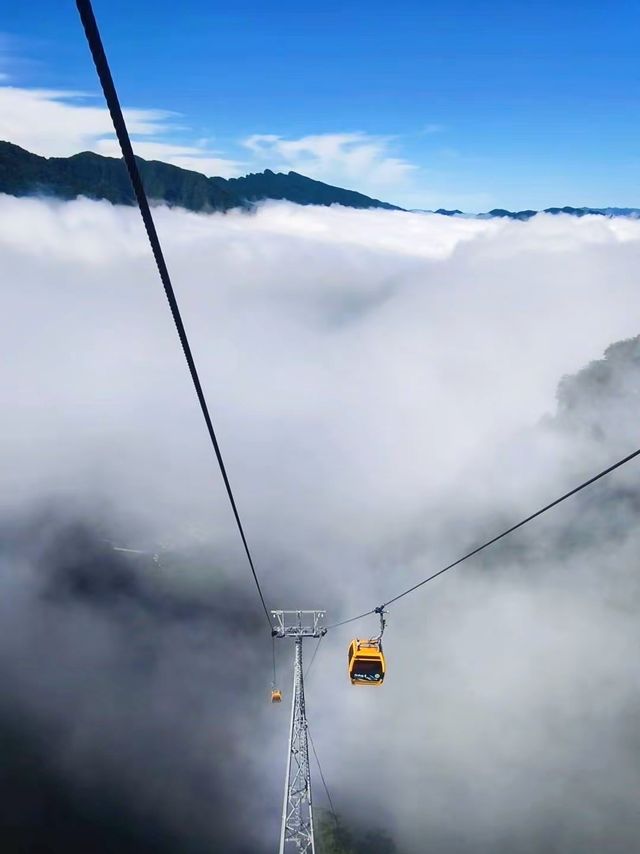 雲巔仙境漫步記