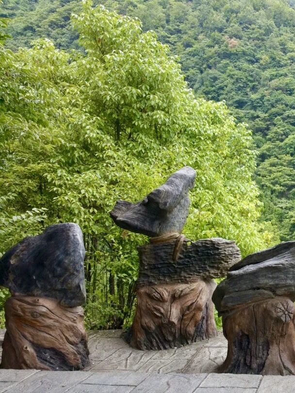 雙龍舞翠——山水相依的生態秘境