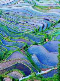 貴州秘境｜加榜梯田2025最新旅行攻略比龍脊更早金黃！