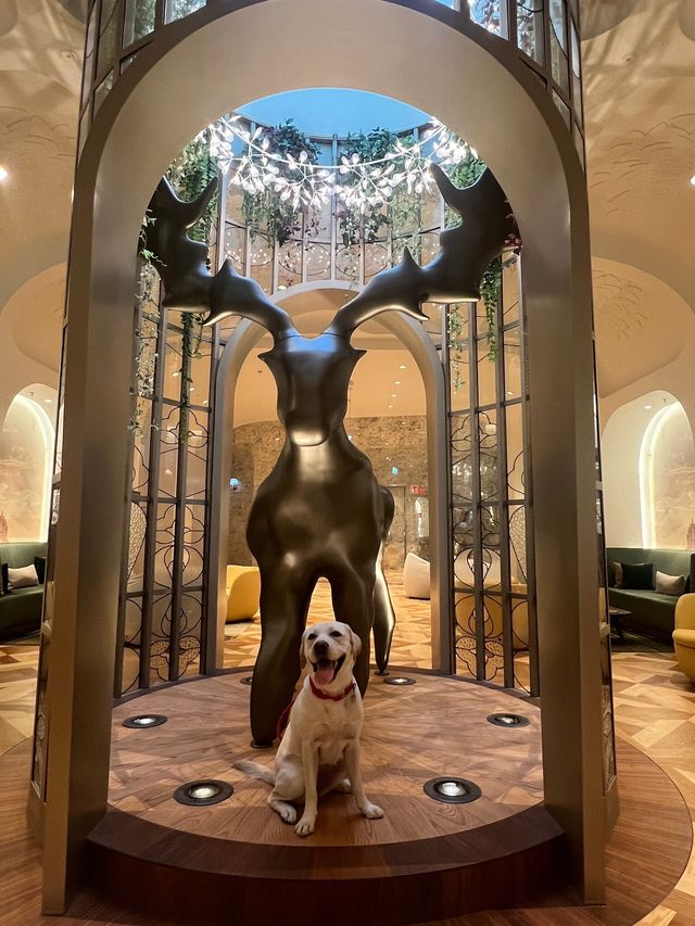 Ideal Stay at a Welcoming Hotel