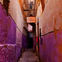 🌿 Fes Alleys – A Labyrinth of History and Life