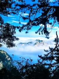 華山絕美雲海路線