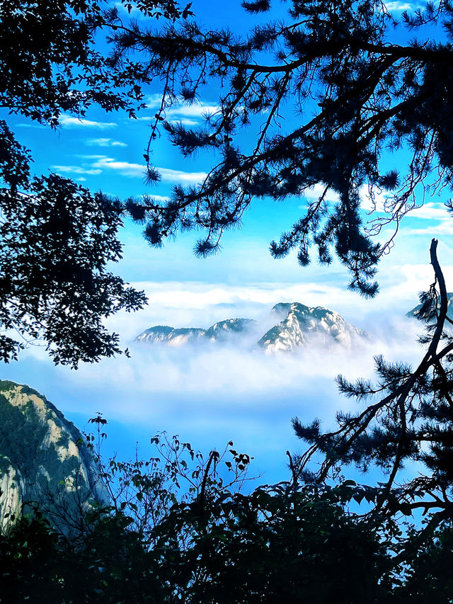 華山絕美雲海路線