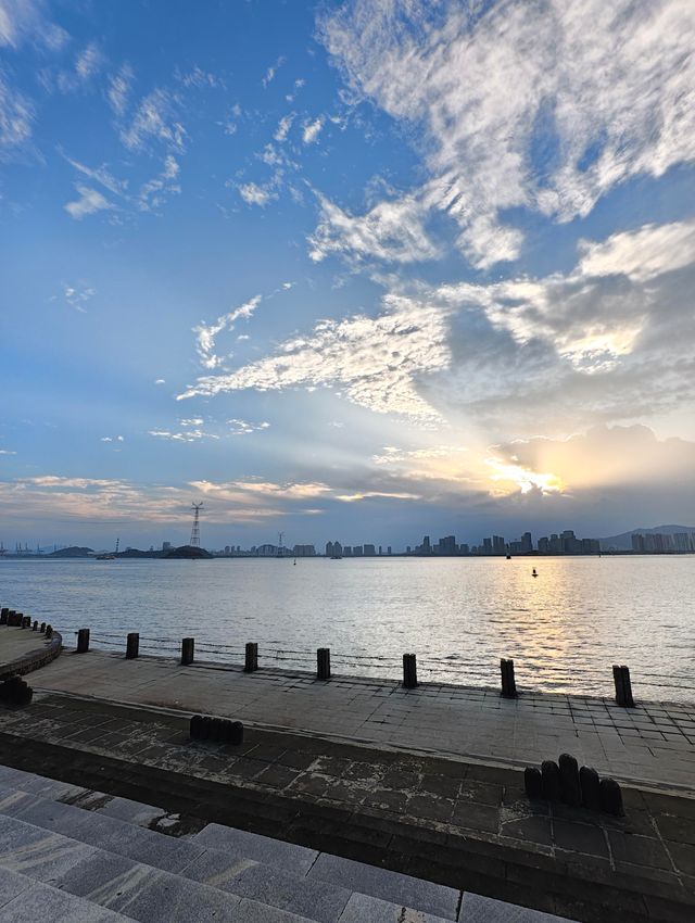 海灣公園賞花指南